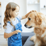miedo a los perros de los niños