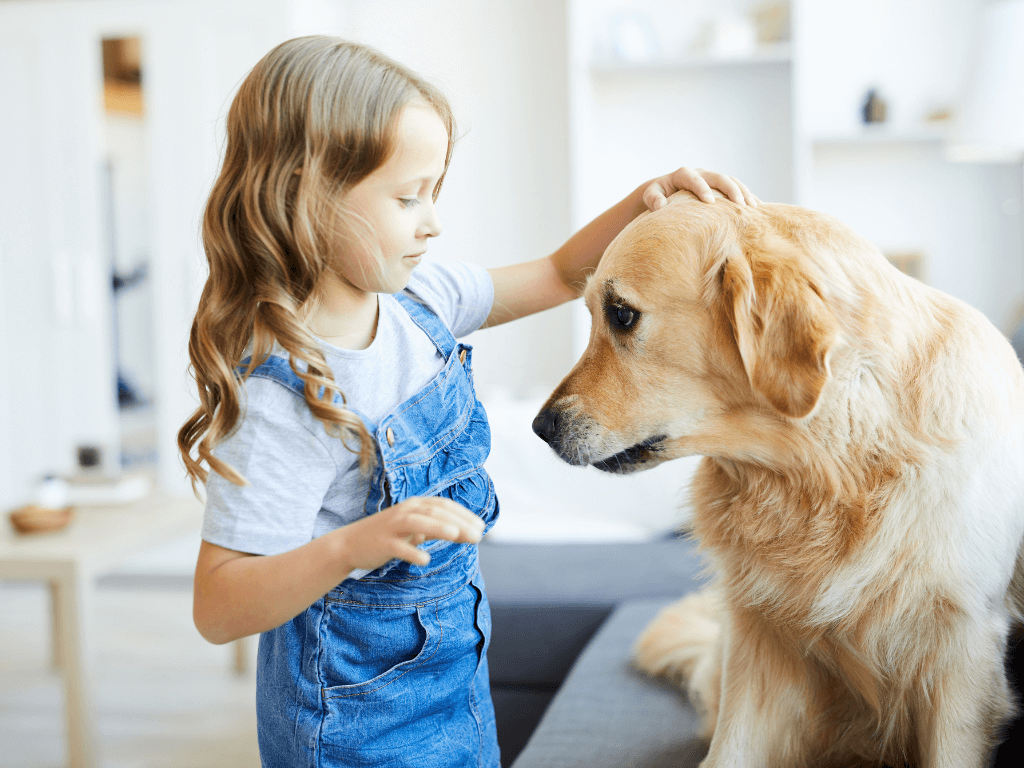miedo a los perros de los niños